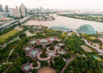 Breathing Life into Cities: How Urban Green Spaces Transform City Living