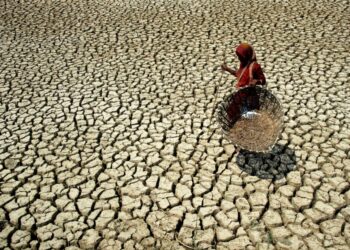 Sustainability and Climate Change