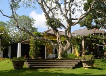 Brief Garden by Bevis Bawa